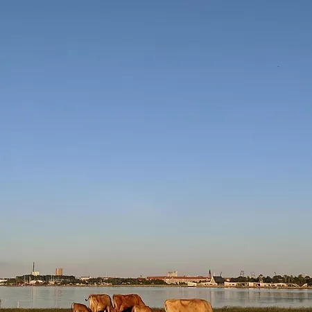 Egholm Vestergaard * Aalborg