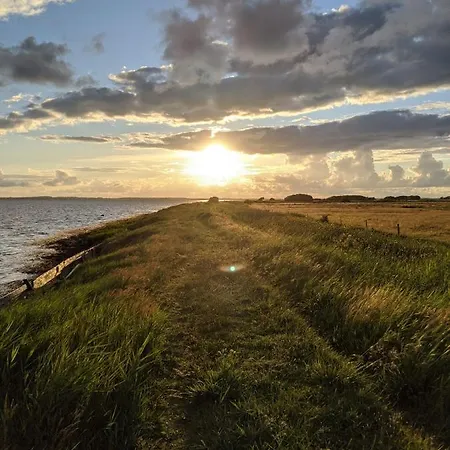 Egholm Vestergaard Aalborg
